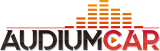 Técnico instalador - Audiumcar